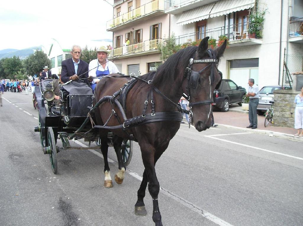 FestaUva (46).JPG